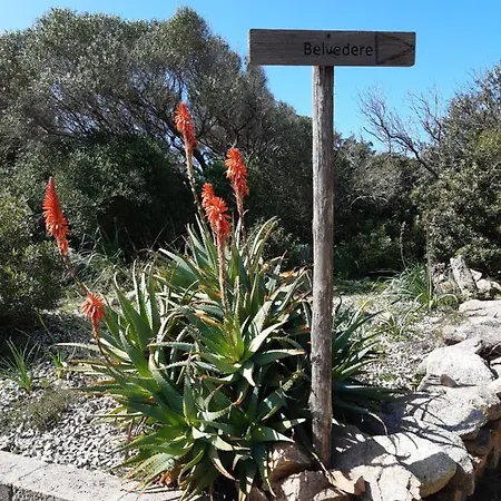 Apartment Accogliente Trilocale A Santa Teresa Gallura